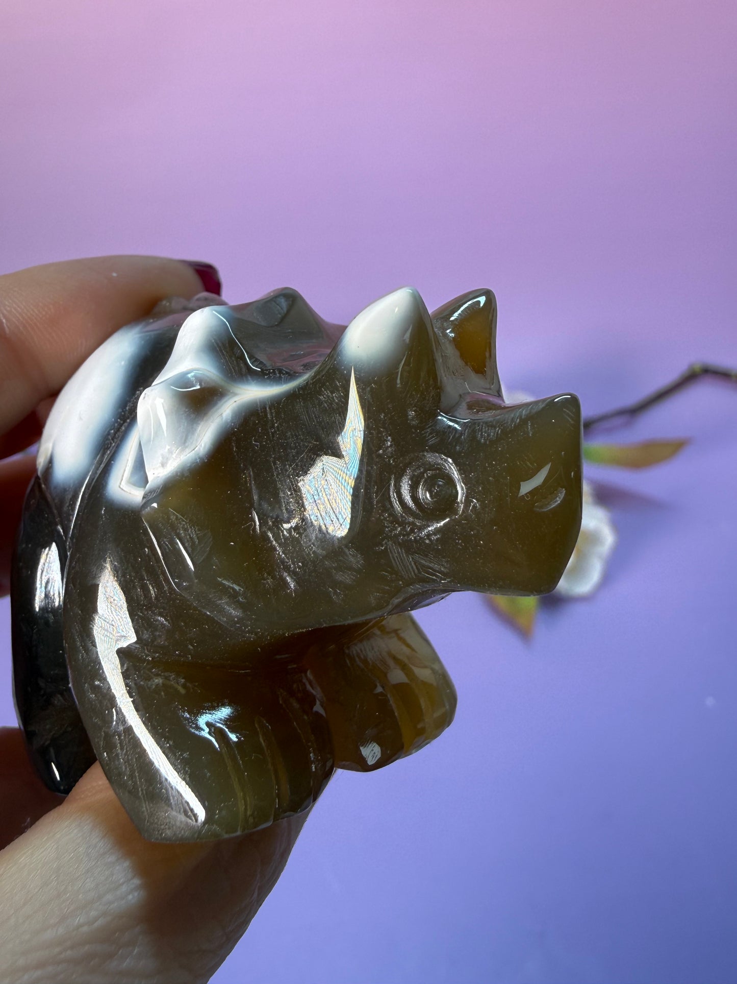Orcha Achat Dino Nr. 45K