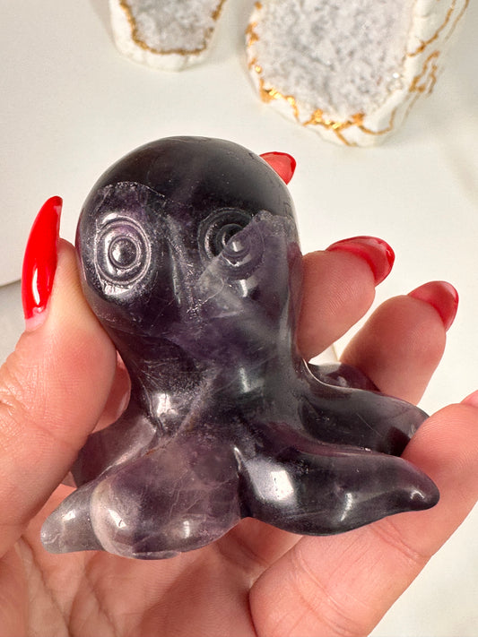 Fluorit Oktopus 49B