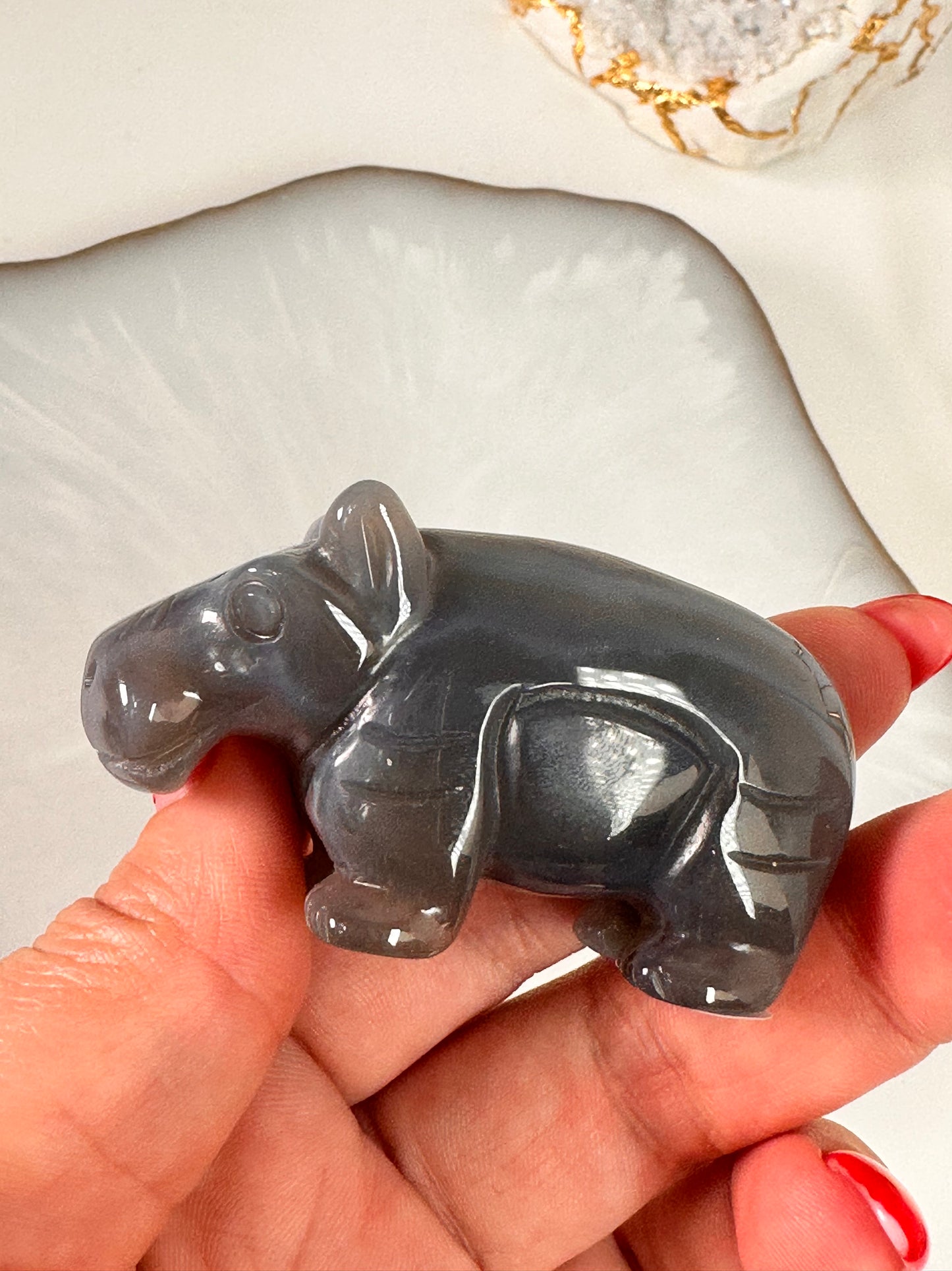 Achat Hippo 28D