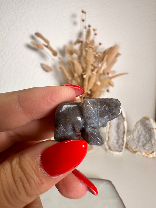 Mini Ozeanjaspis Elefant 6J