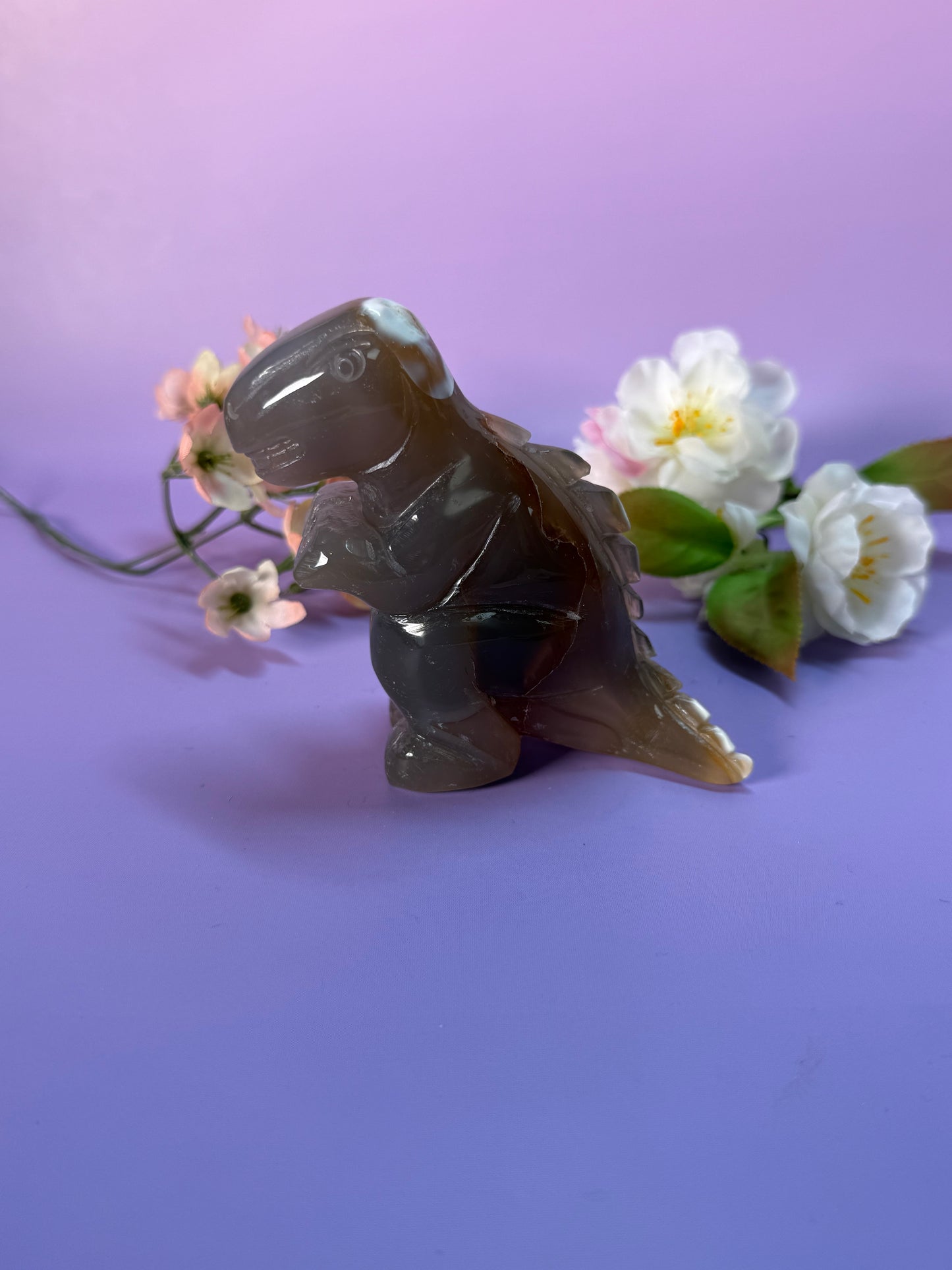 Orcha Achat Dino Nr. 99B