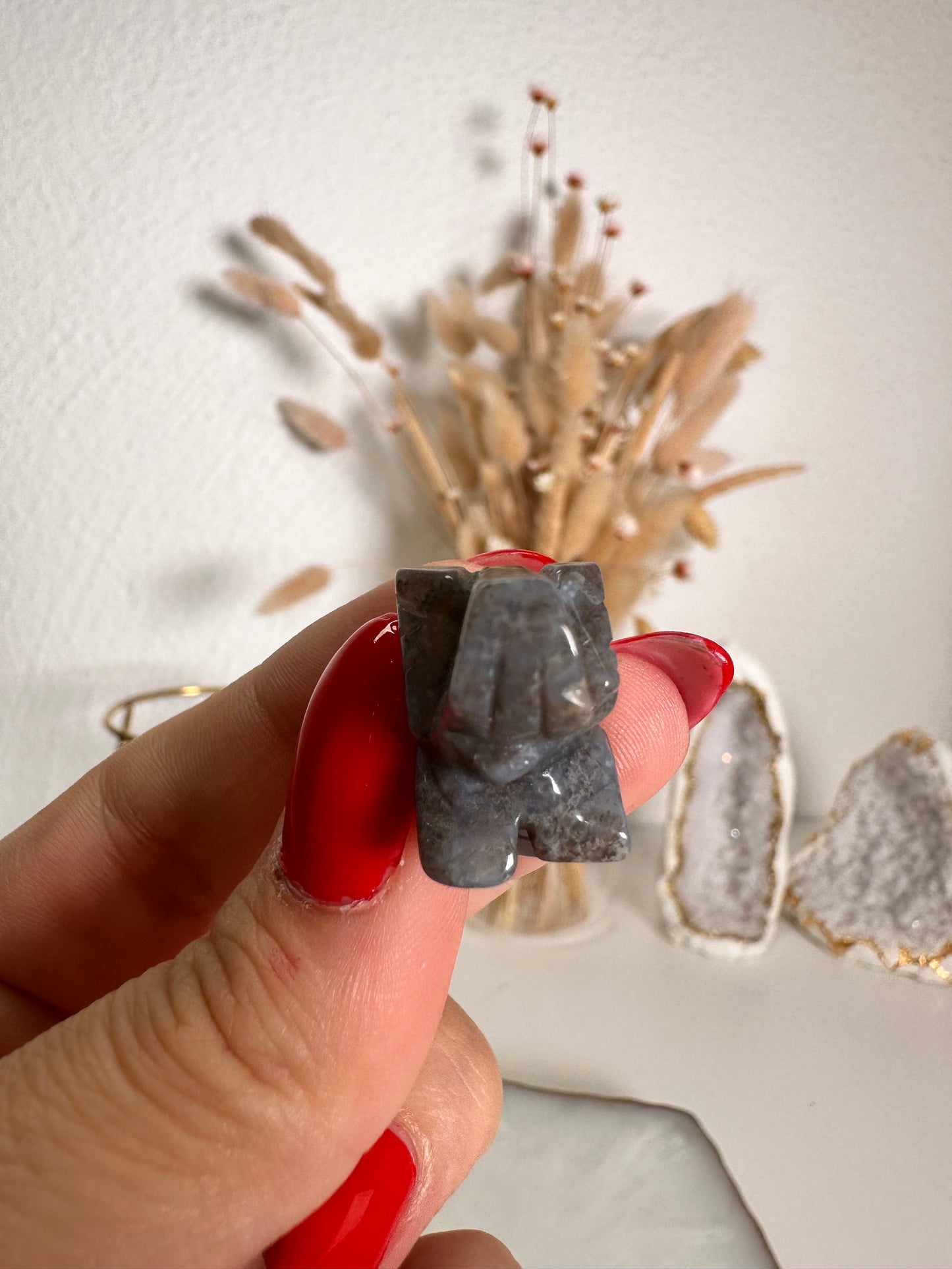 Mini Ozeanjaspis Elefant 6J