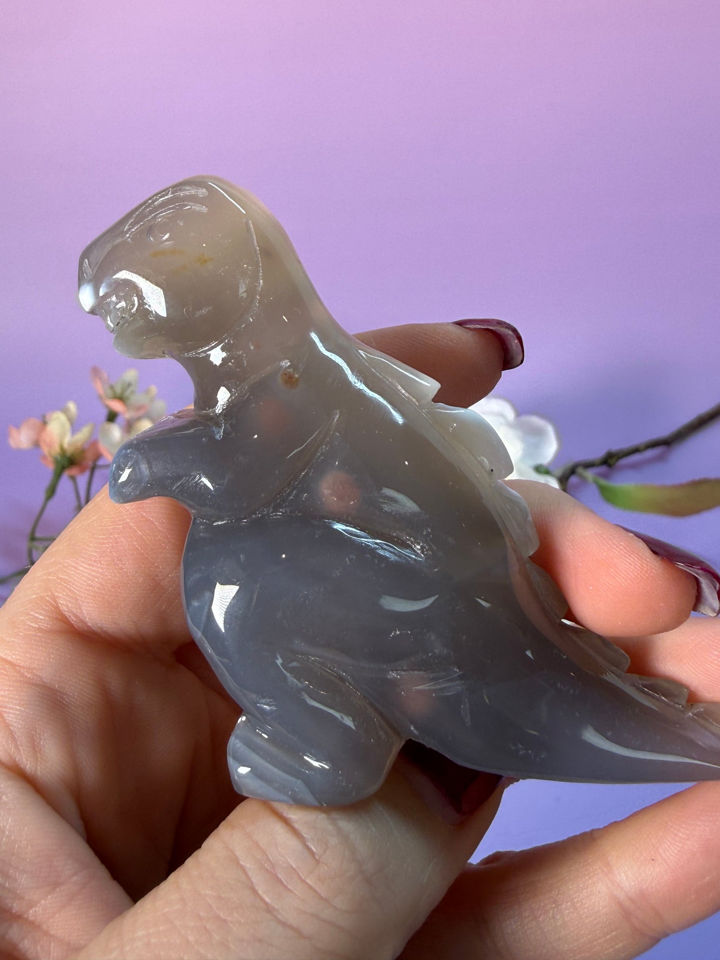 Orcha Achat Dino Nr. 45L