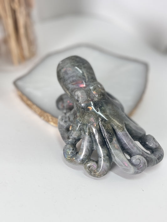 Labradorit Oktopus
