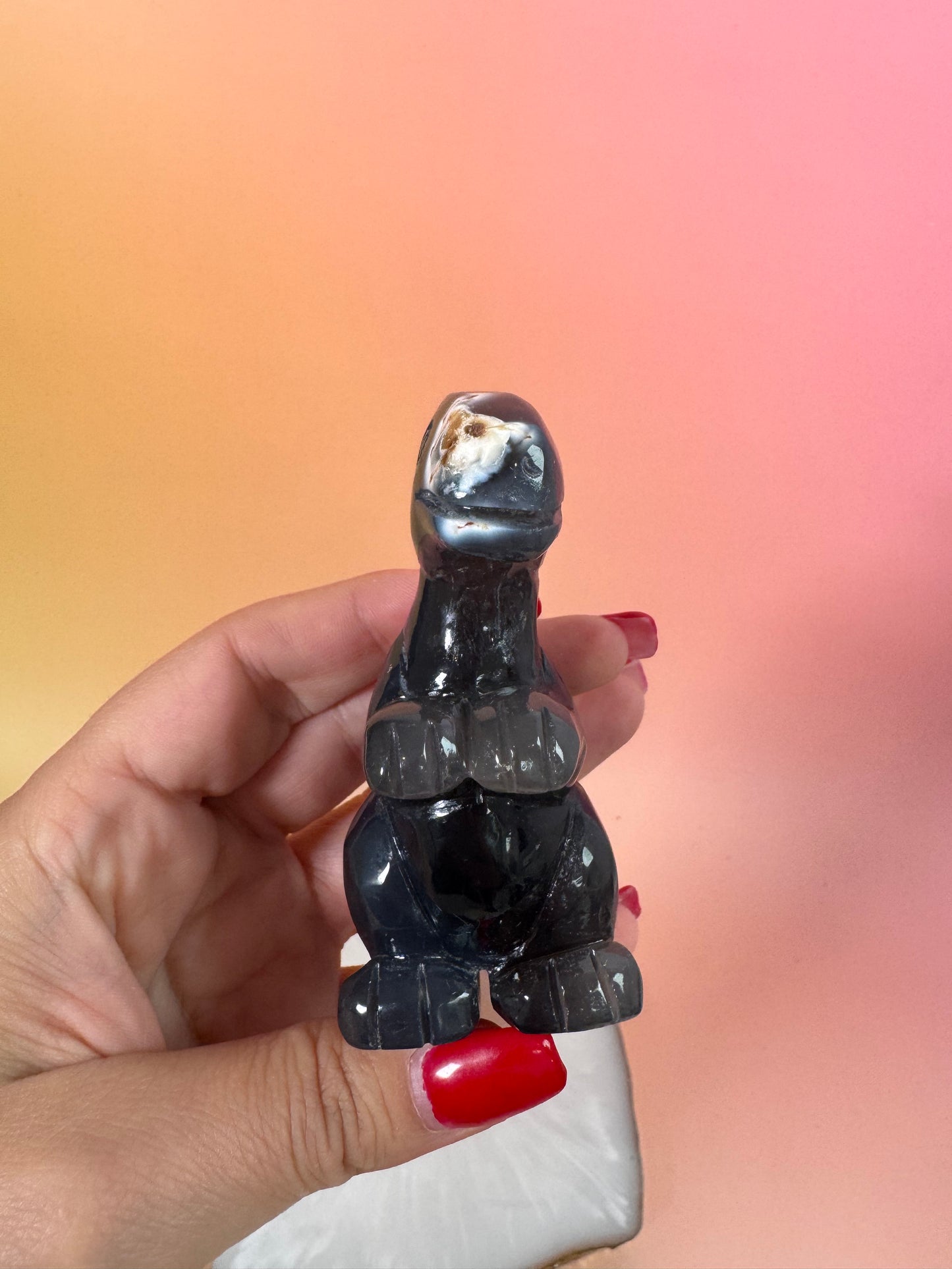 Orcha Achat Dino Nr. 100