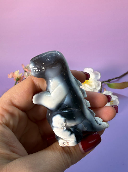 Orcha Achat Dino Nr. 42B