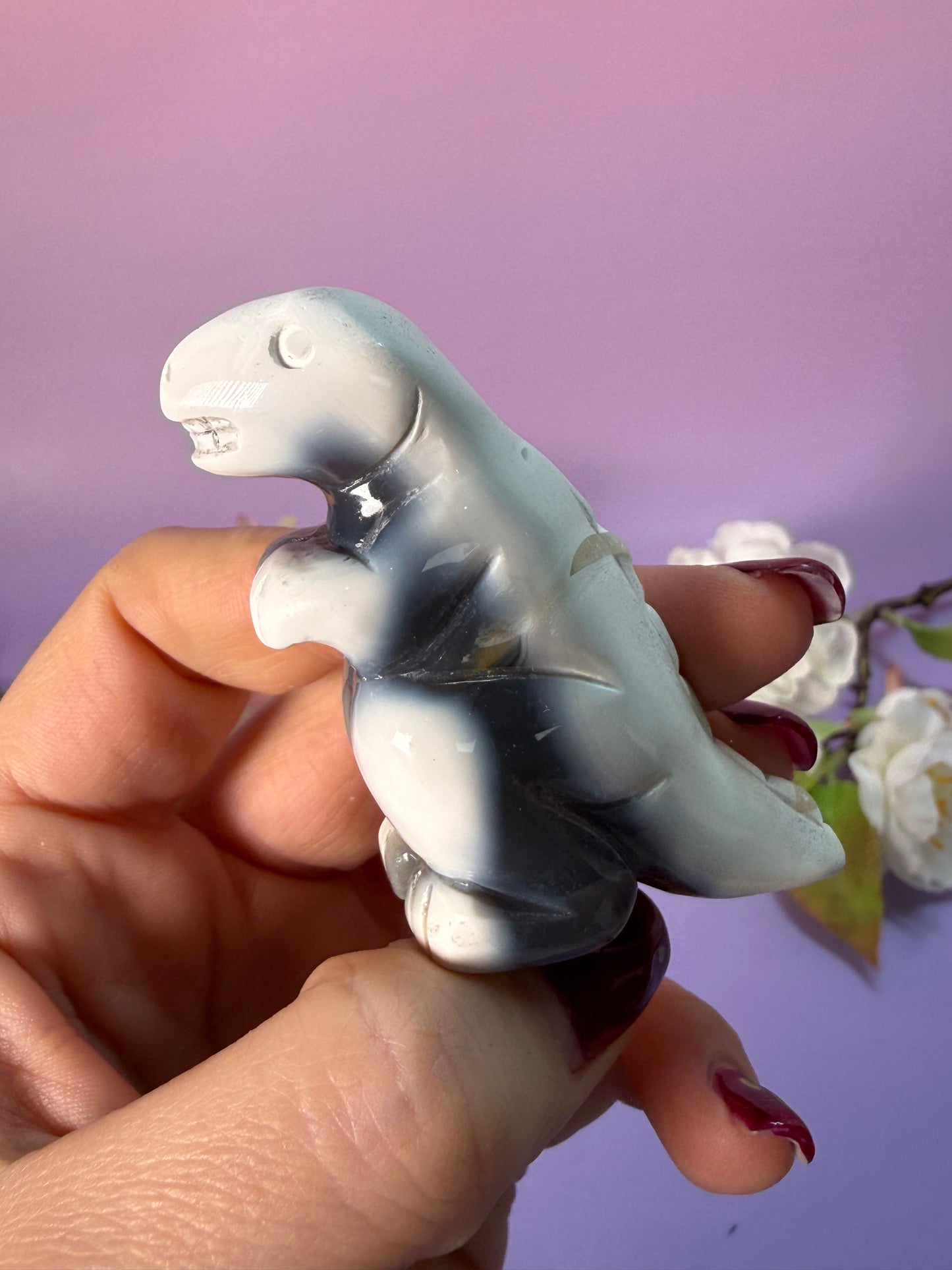 Orcha Achat Dino Nr. 29X