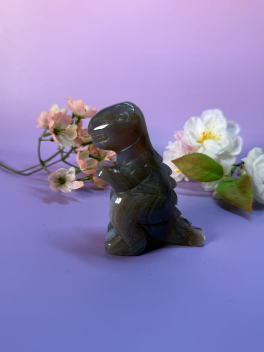 Orcha Achat Dino Nr. 45Z