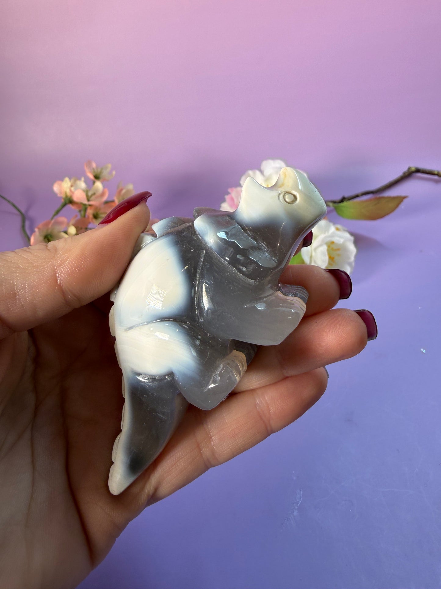 Orcha Achat Dino Nr. 45P