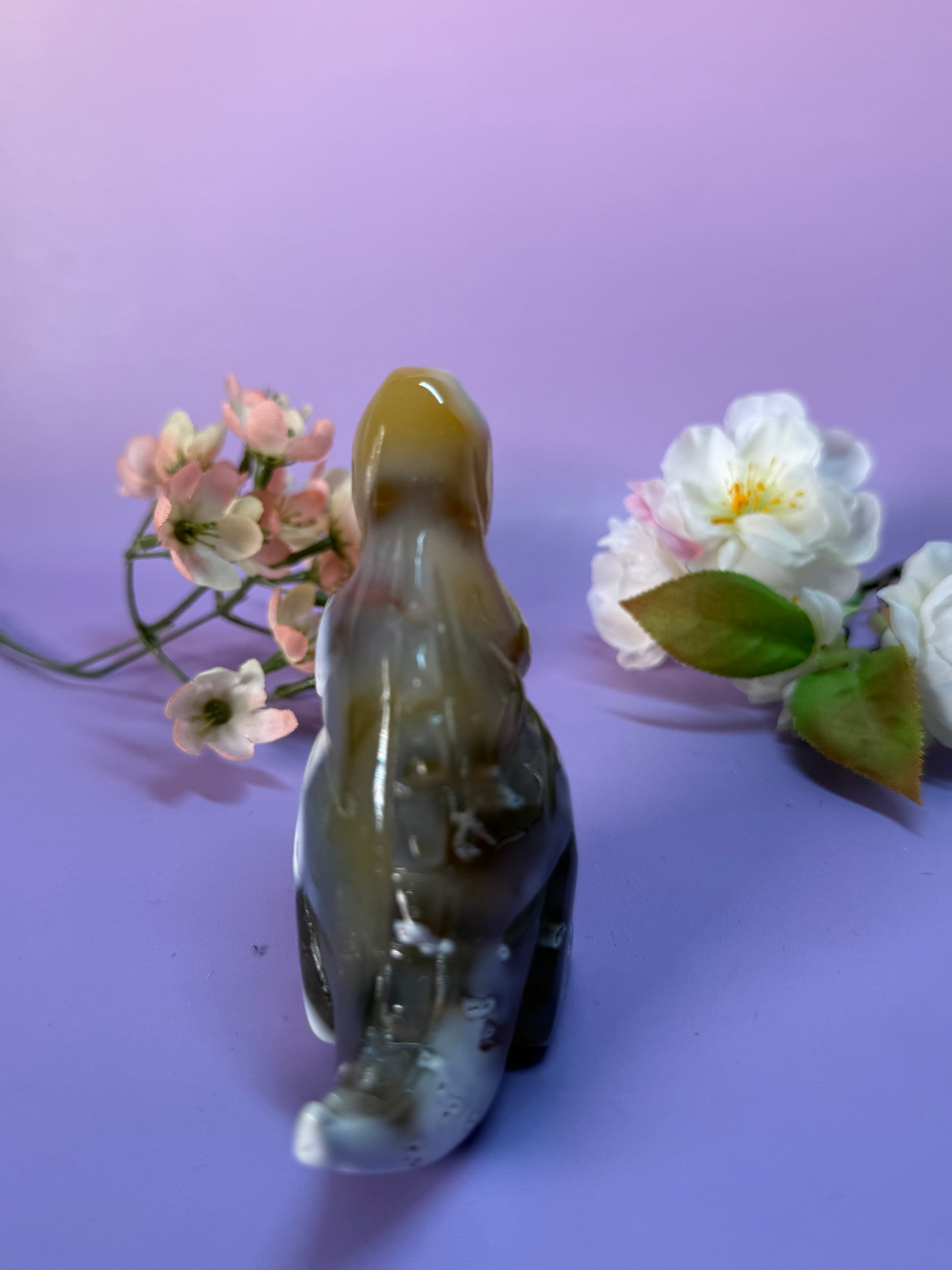 Orcha Achat Dino Nr. 79E
