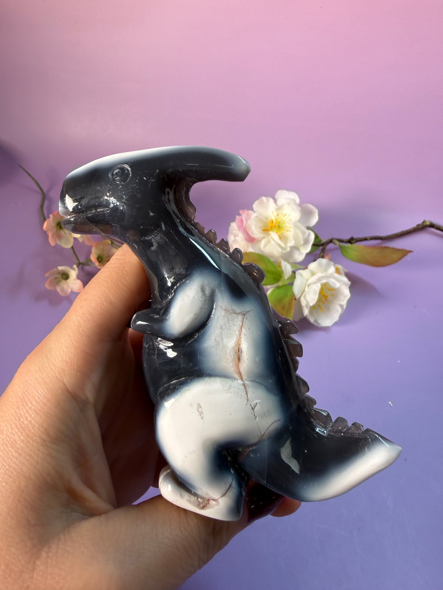 Orcha Achat Dino Nr. 79A