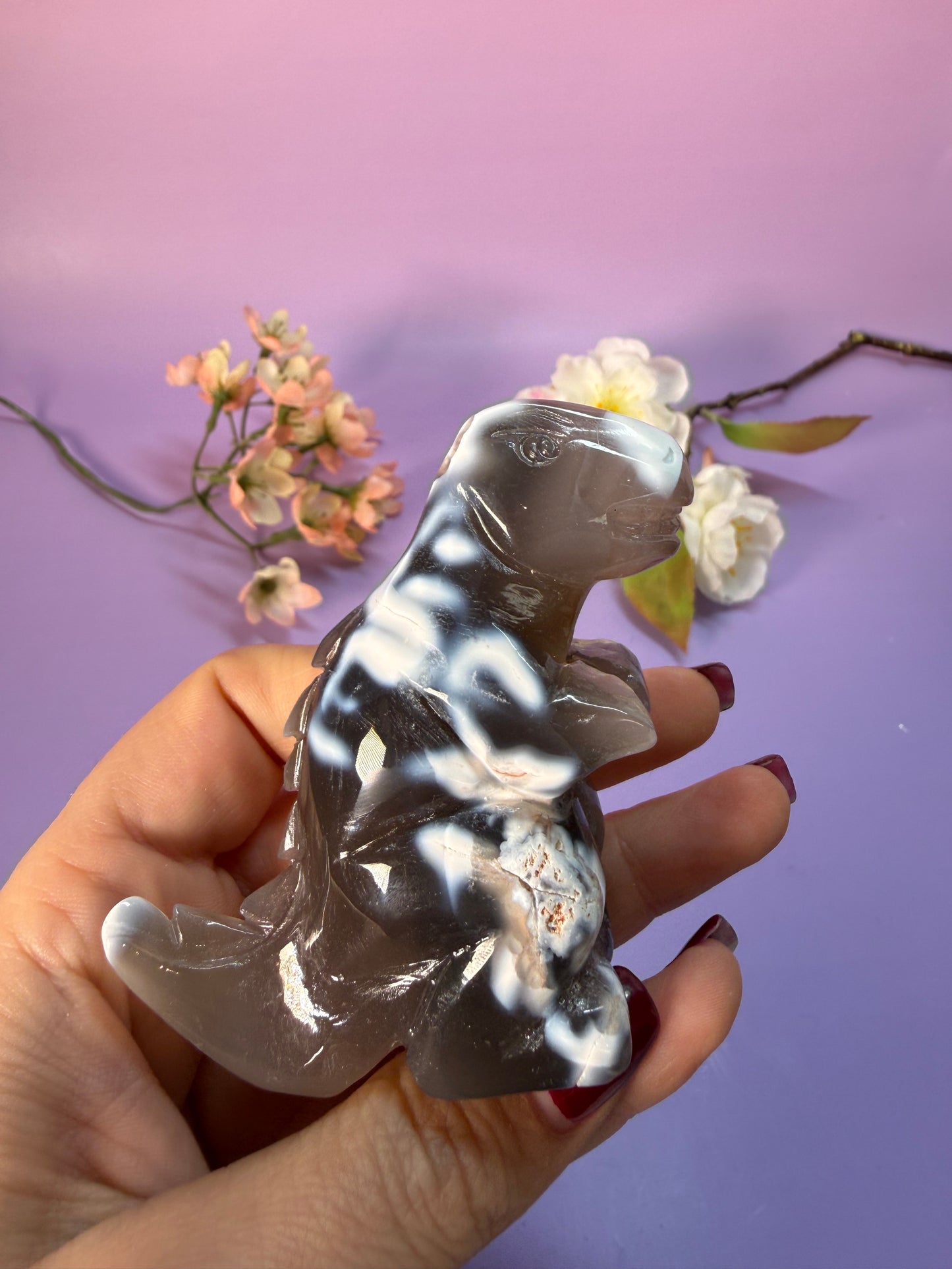 Orcha Achat Dino Nr. 49M