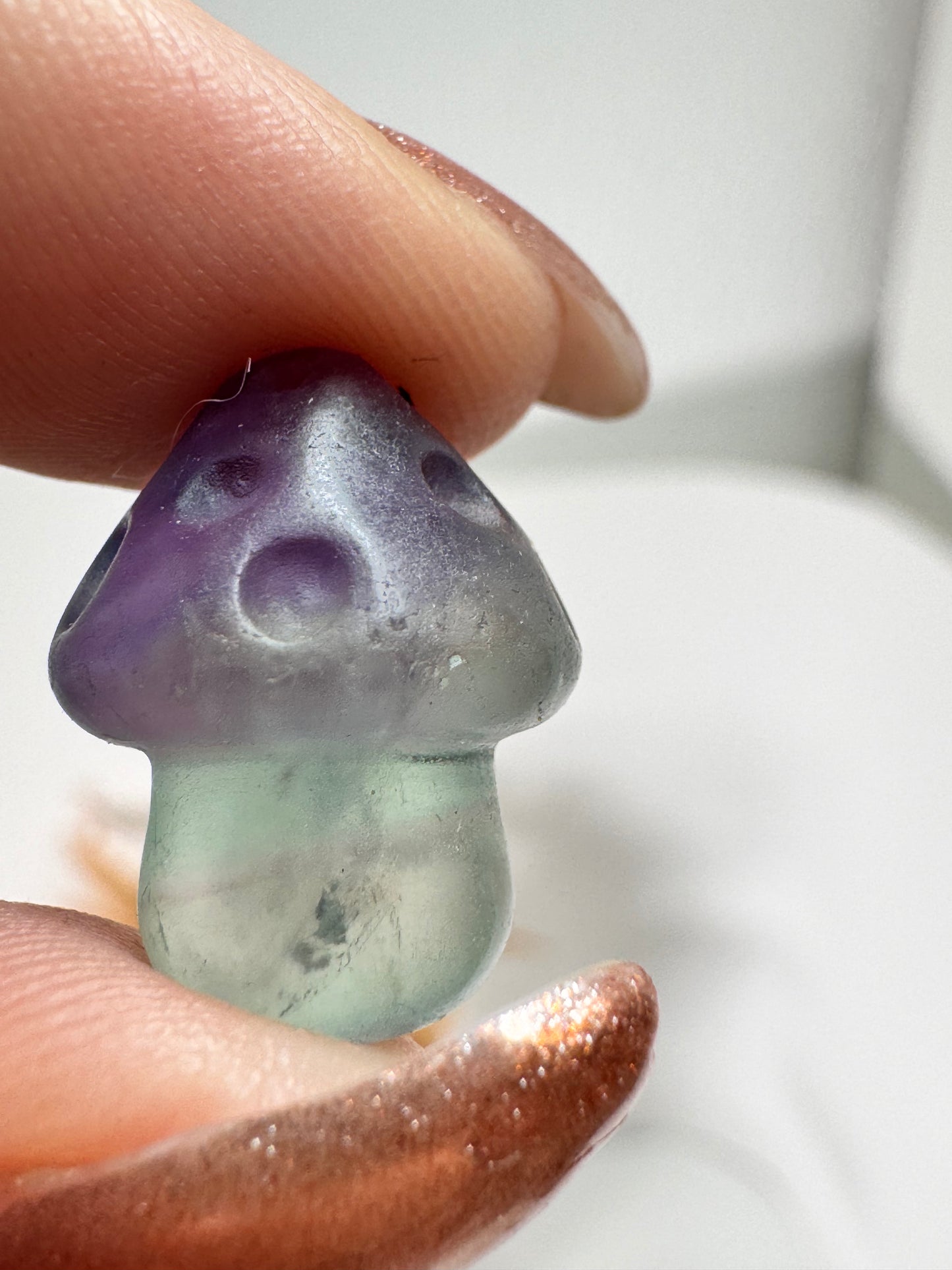 Mystery Mini Fluorit Pilz