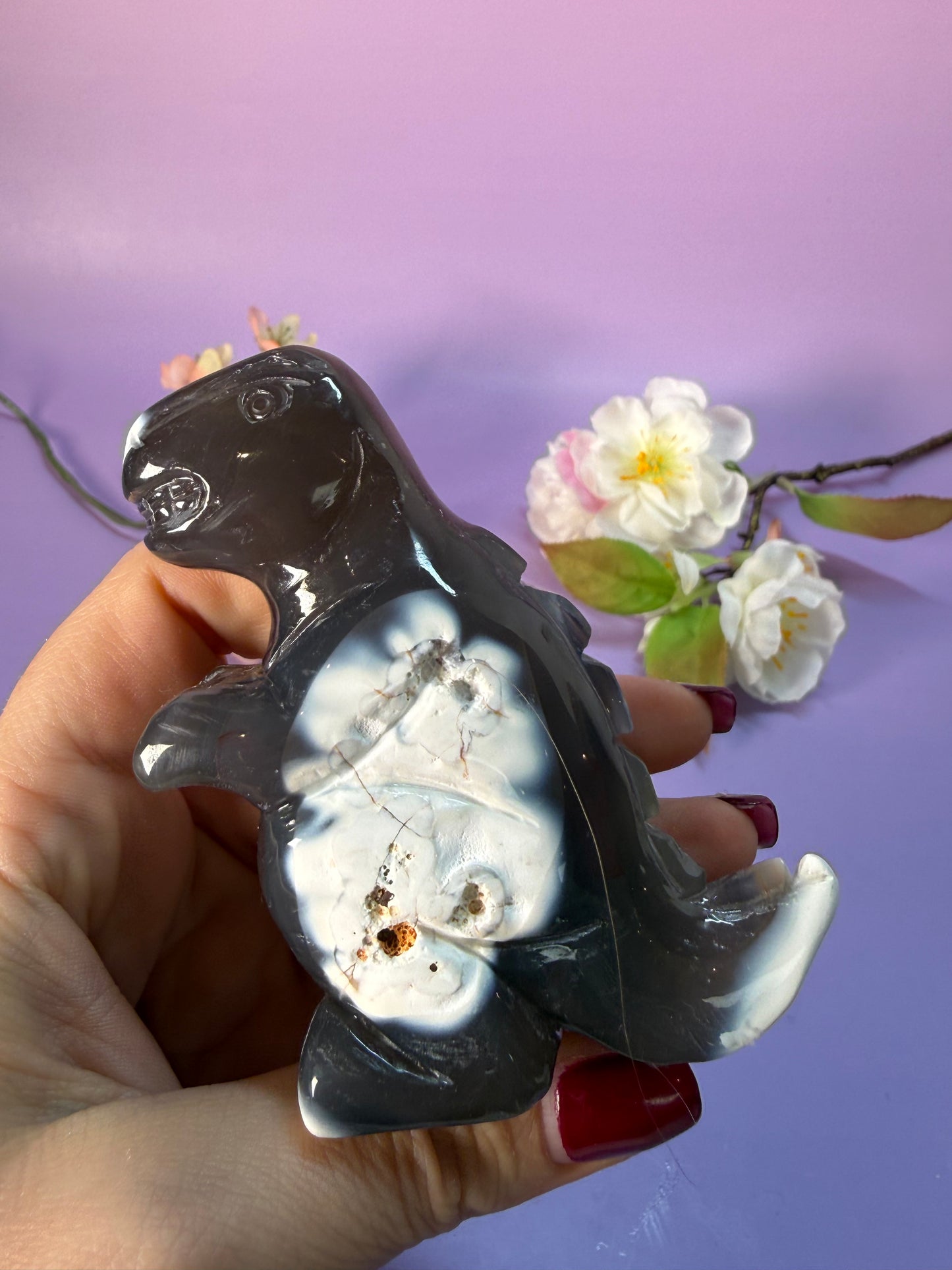 Orcha Achat Dino Nr. 49Z