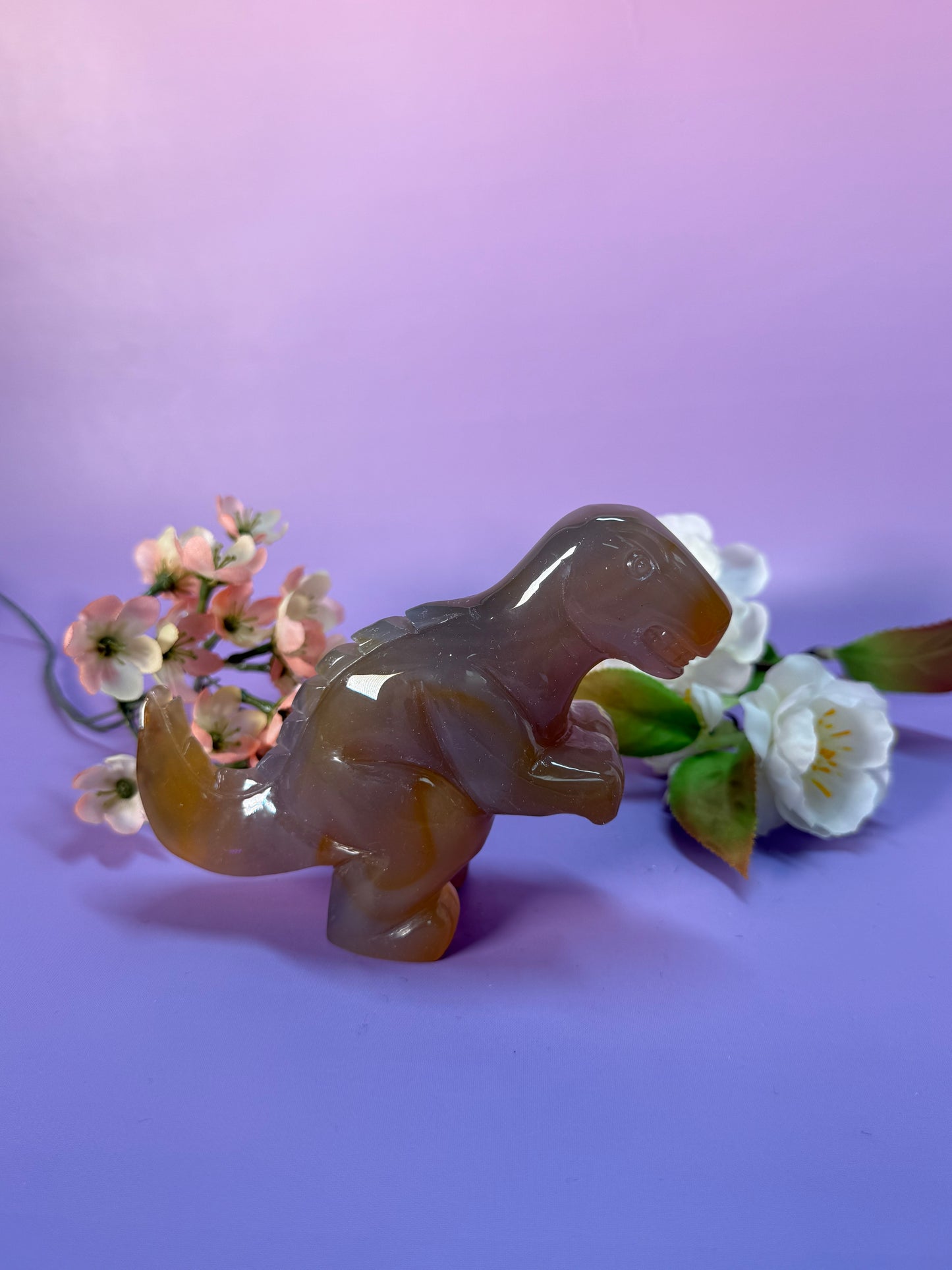 Orcha Achat Dino Nr. 99A