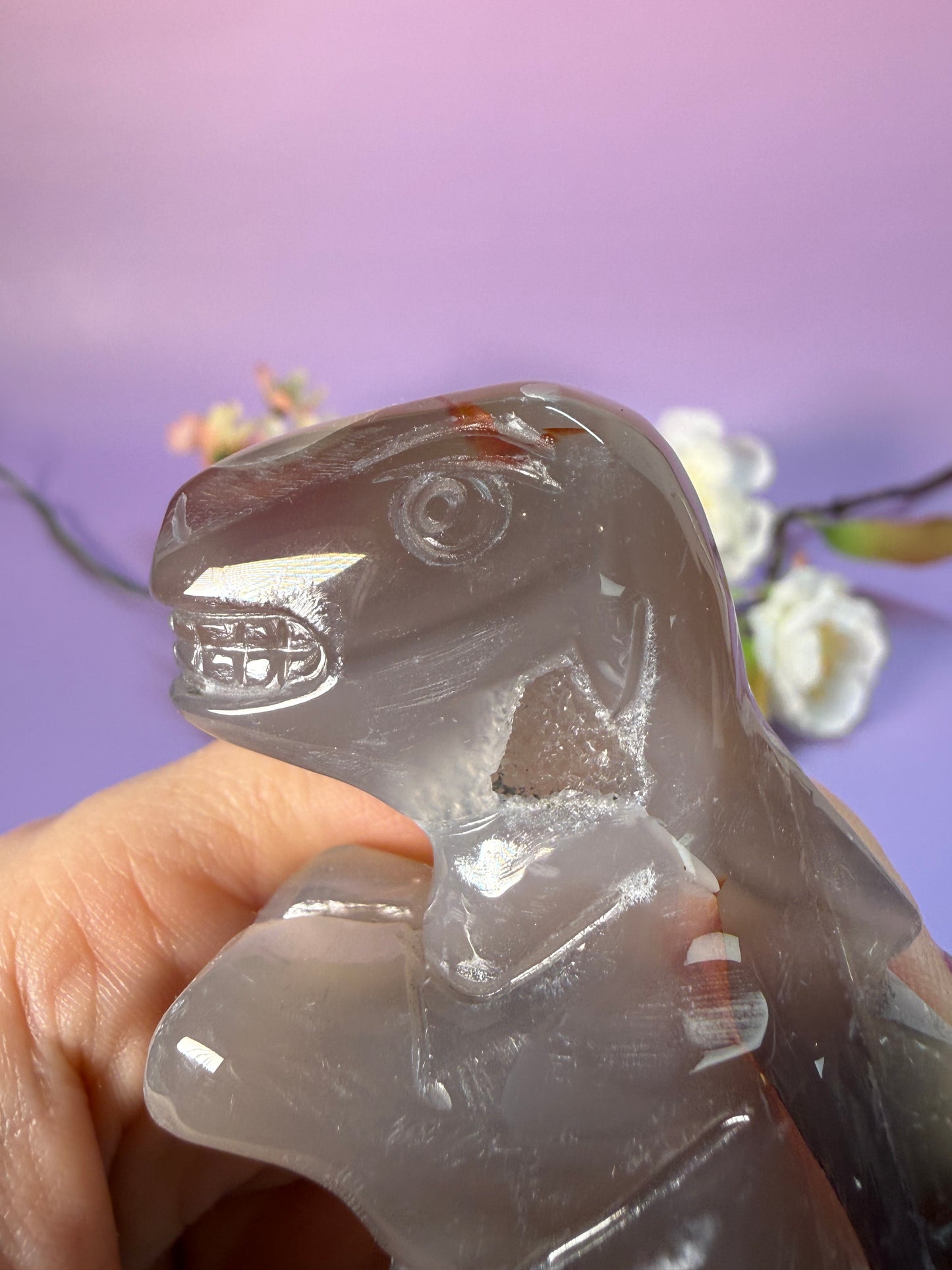 Orcha Achat Dino Nr. 49H