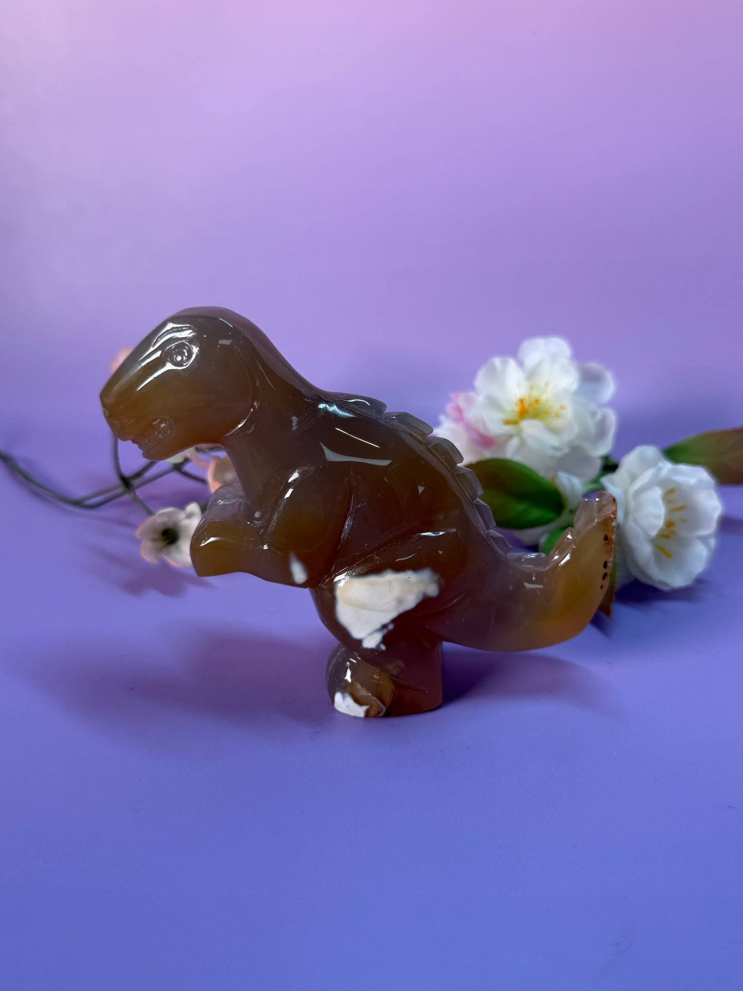 Orcha Achat Dino Nr. 99A