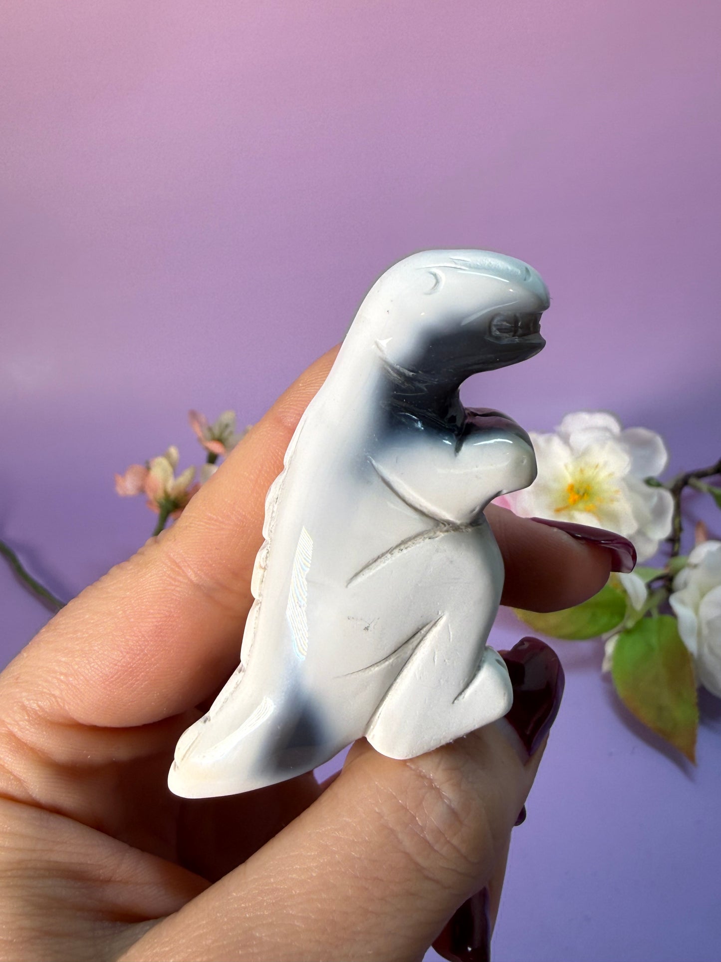 Orcha Achat Dino Nr. 29X