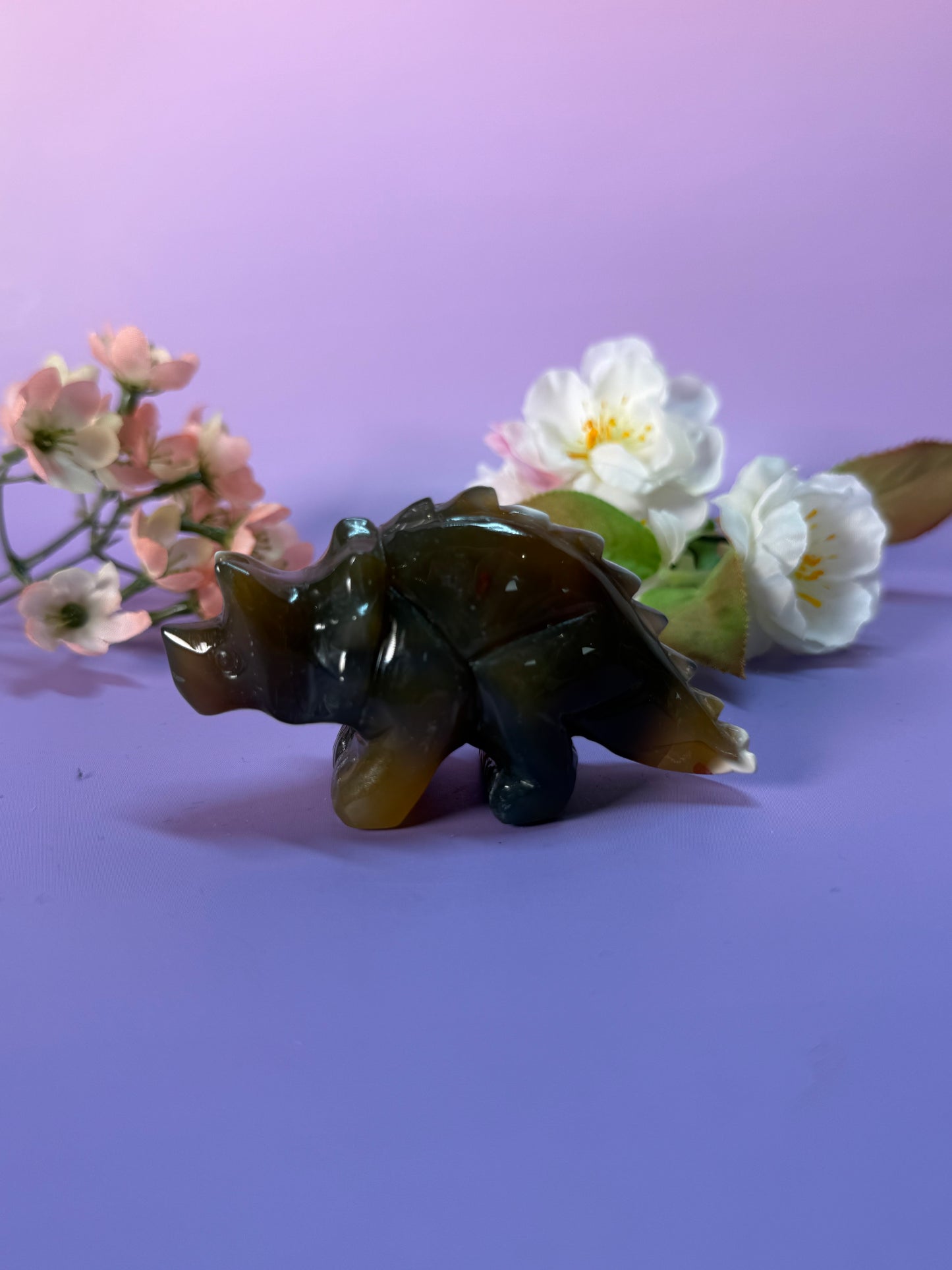 Orcha Achat Dino Nr. 45K