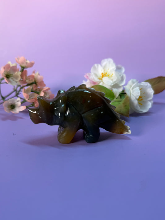 Orcha Achat Dino Nr. 45K