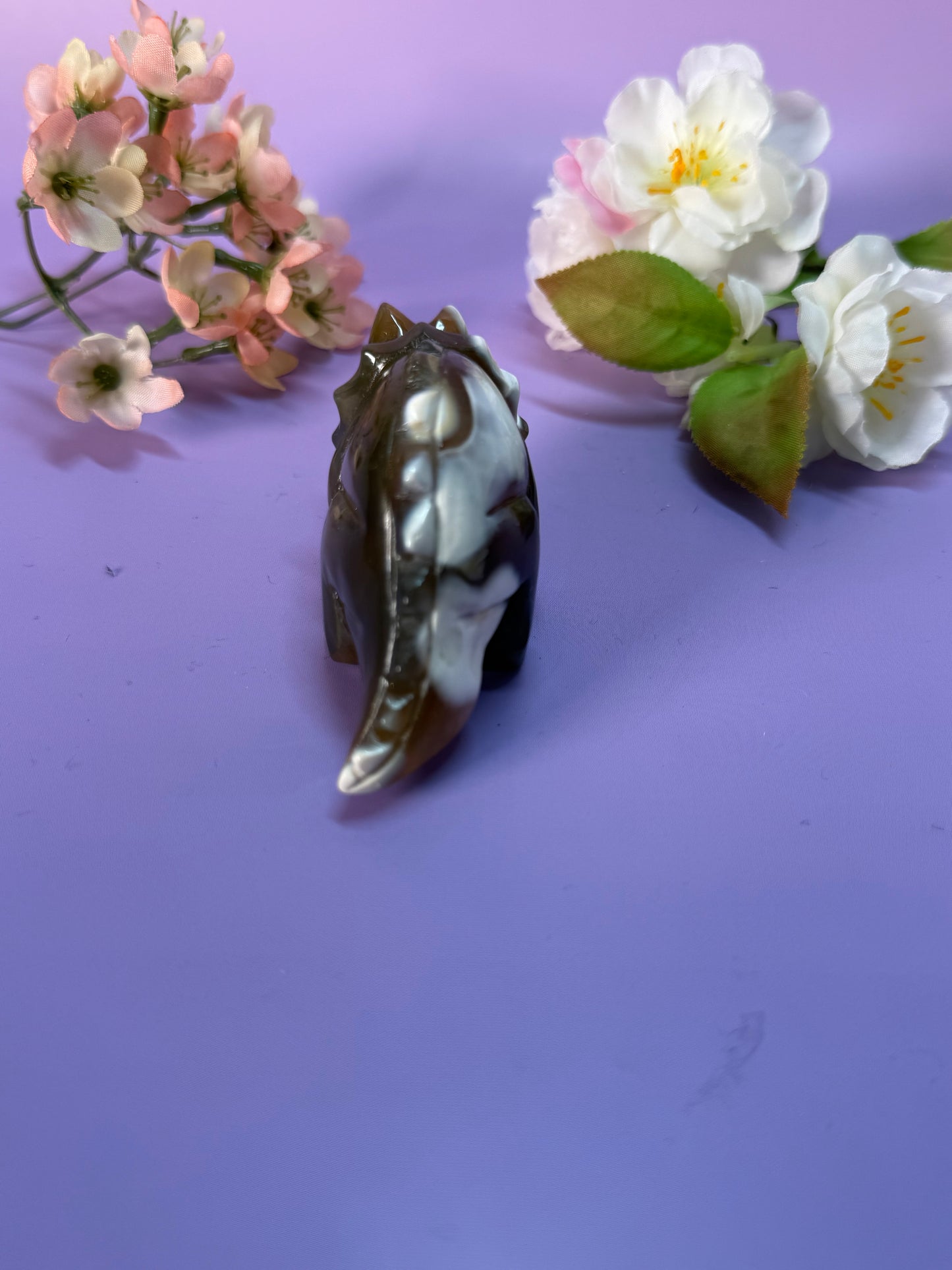 Orcha Achat Dino Nr. 45K