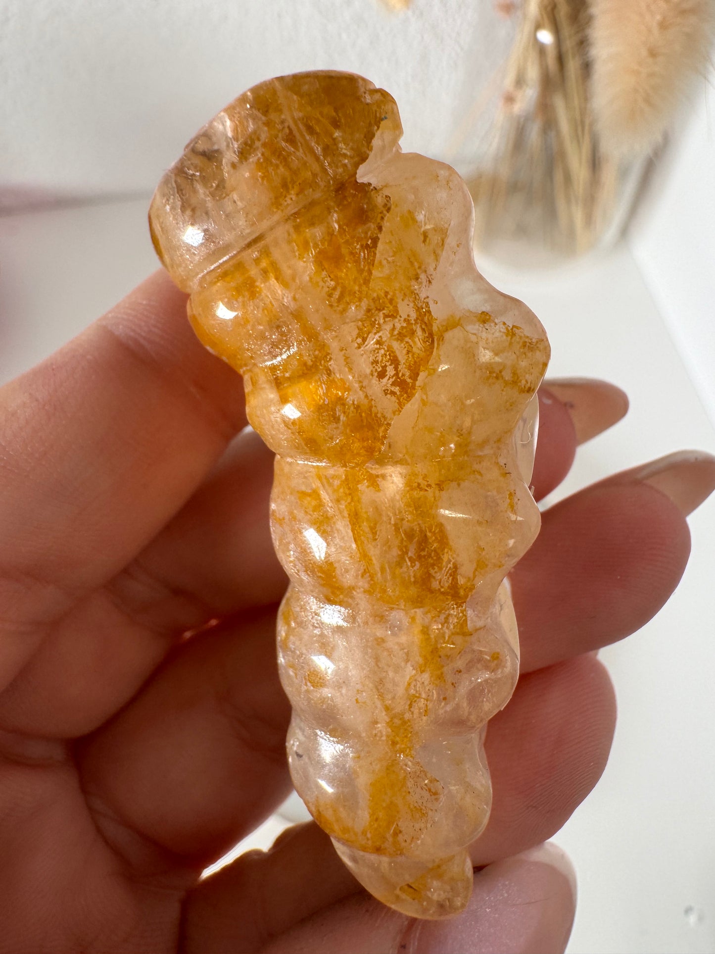 Golden Healer Raupe