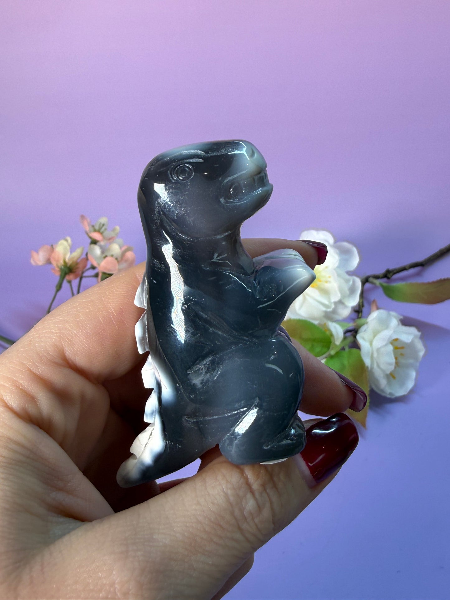 Orcha Achat Dino Nr. 42B