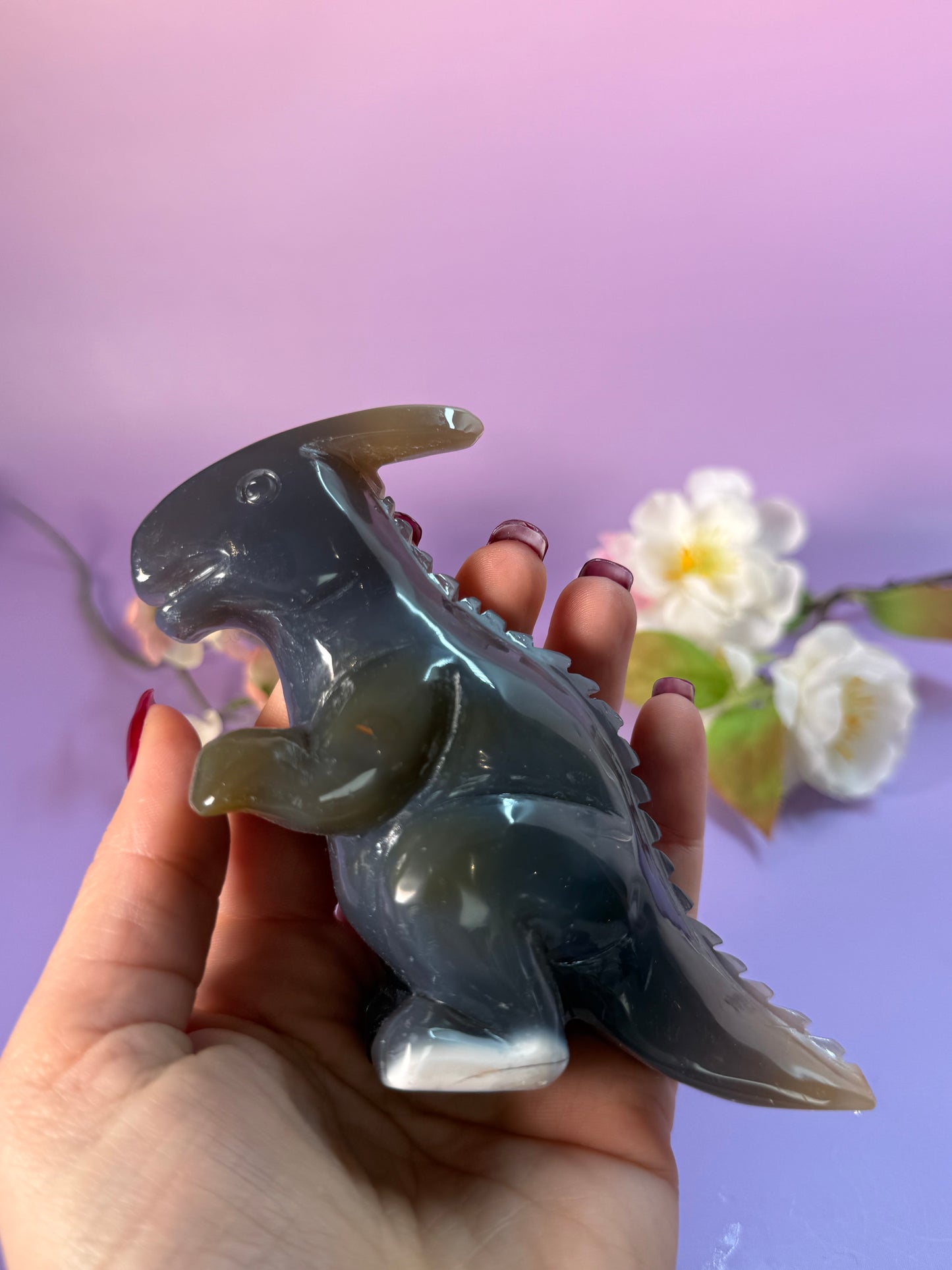 Orcha Achat Dino Nr. 99C