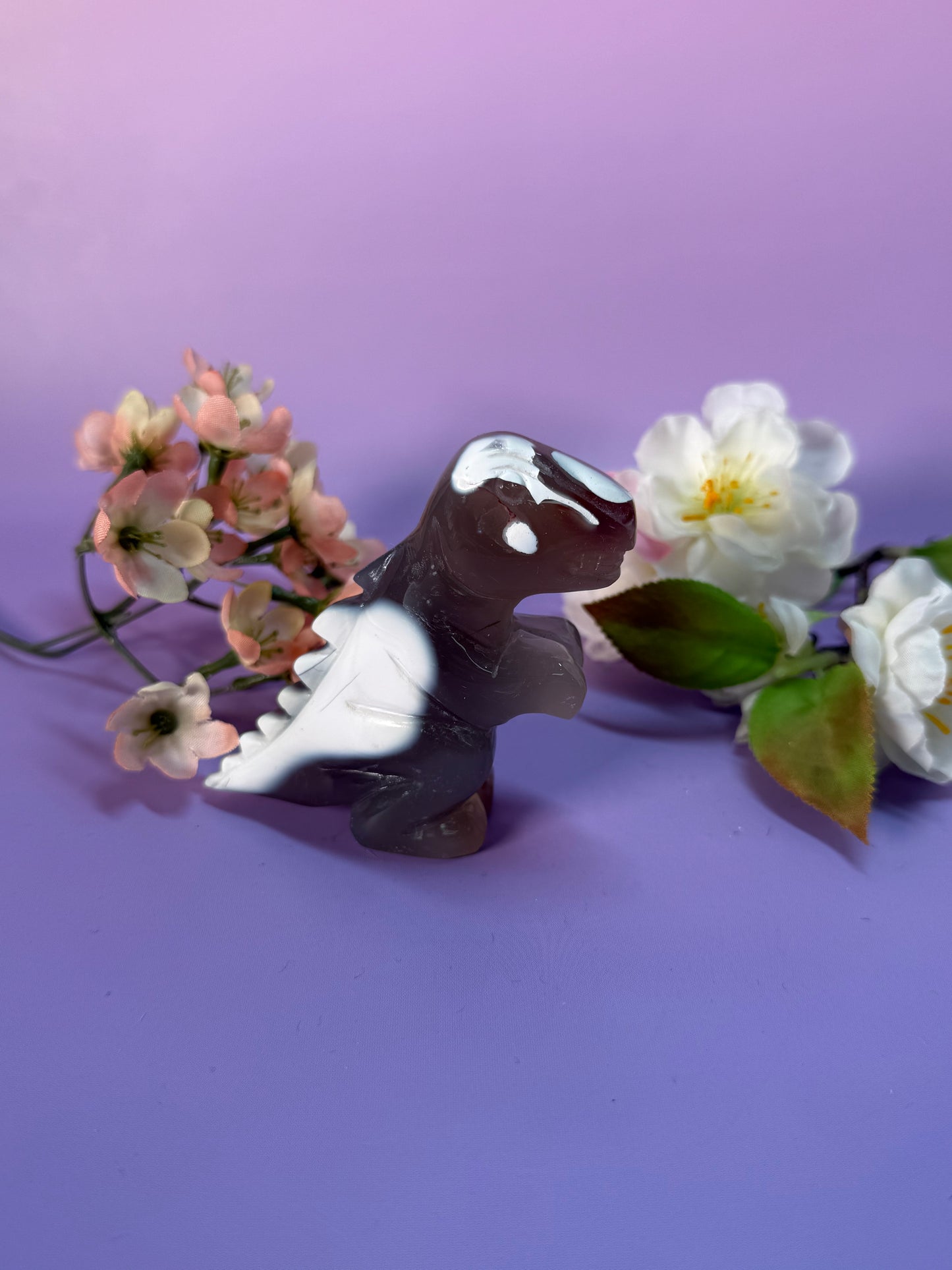 Orcha Achat Dino Nr. 49H