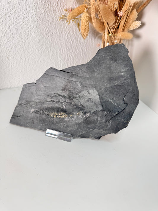 Pyrit auf Schiefer