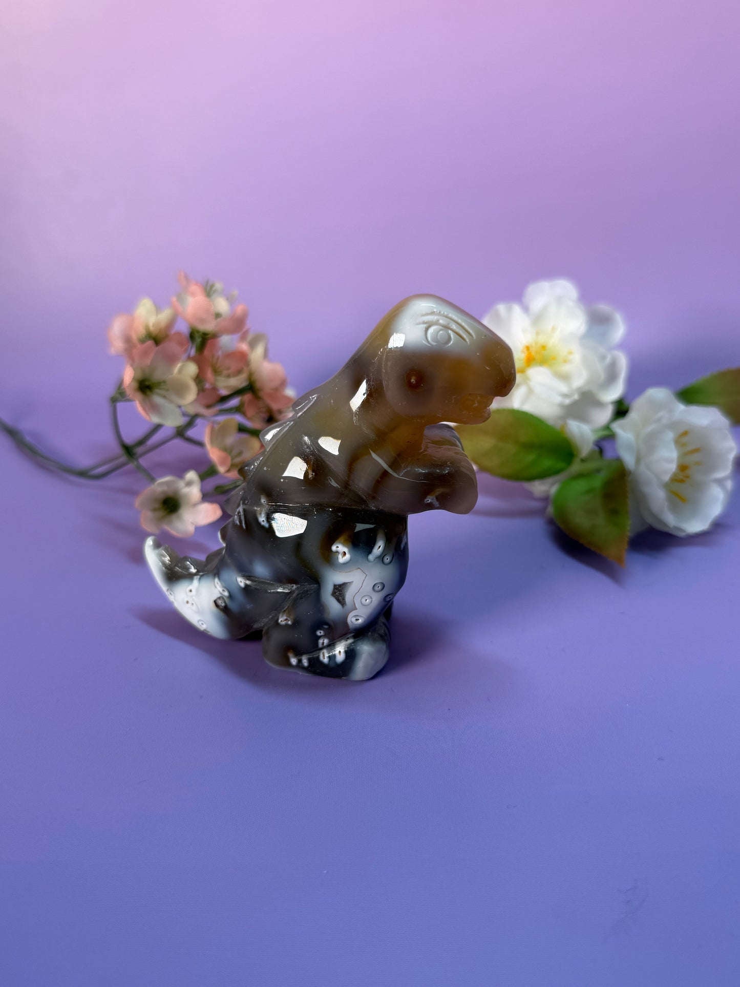 Orcha Achat Dino Nr. 79E