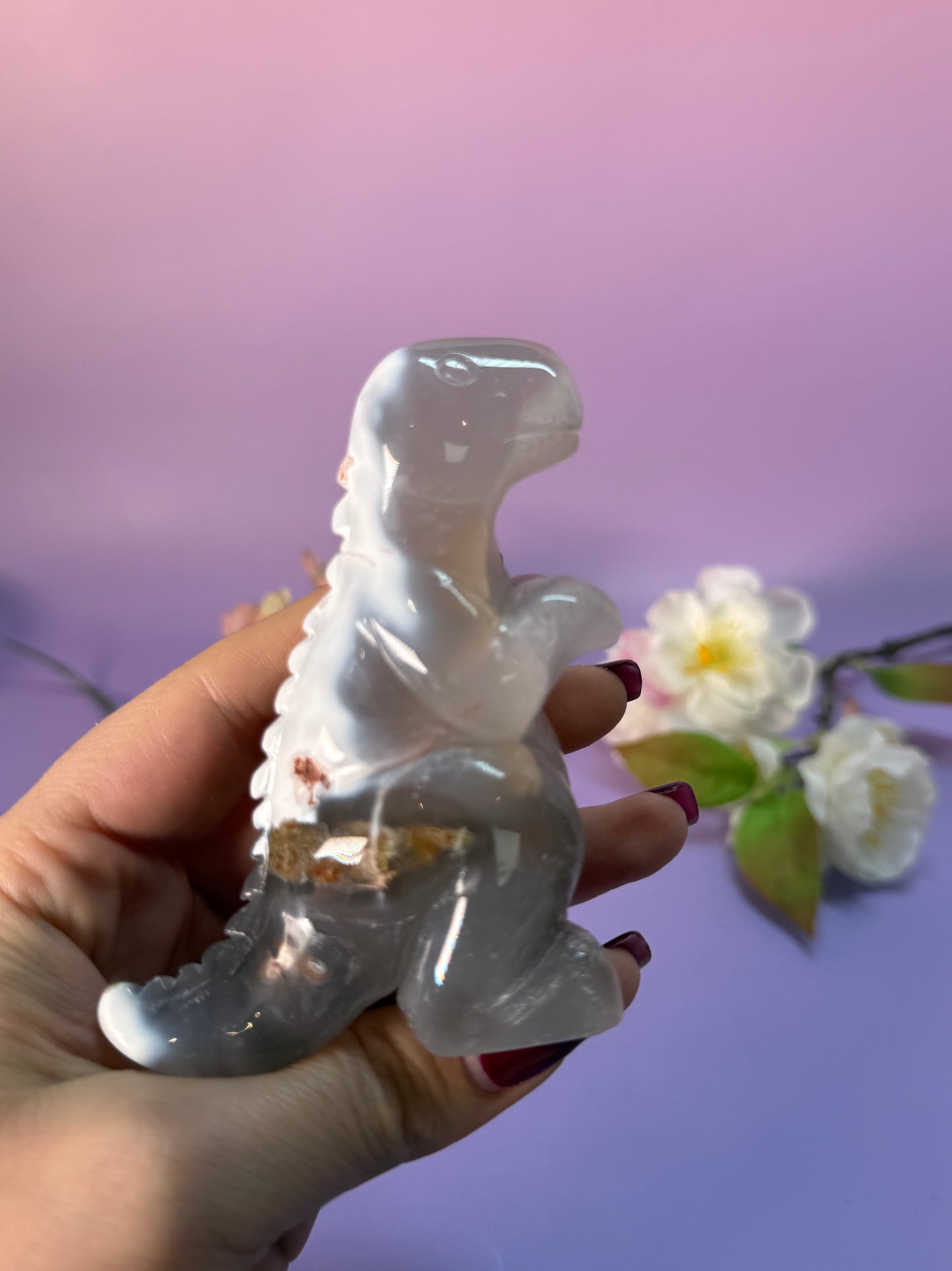 Orcha Achat Dino Nr. 79C