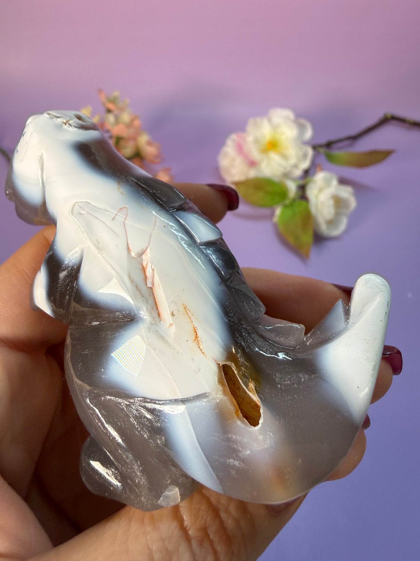 Orcha Achat Dino Nr. 49M