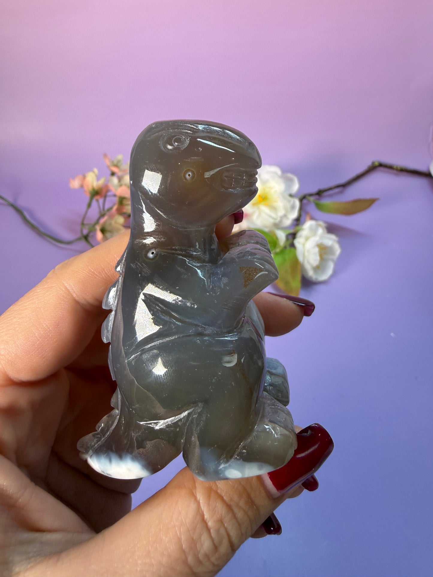 Orcha Achat Dino Nr. 45Z