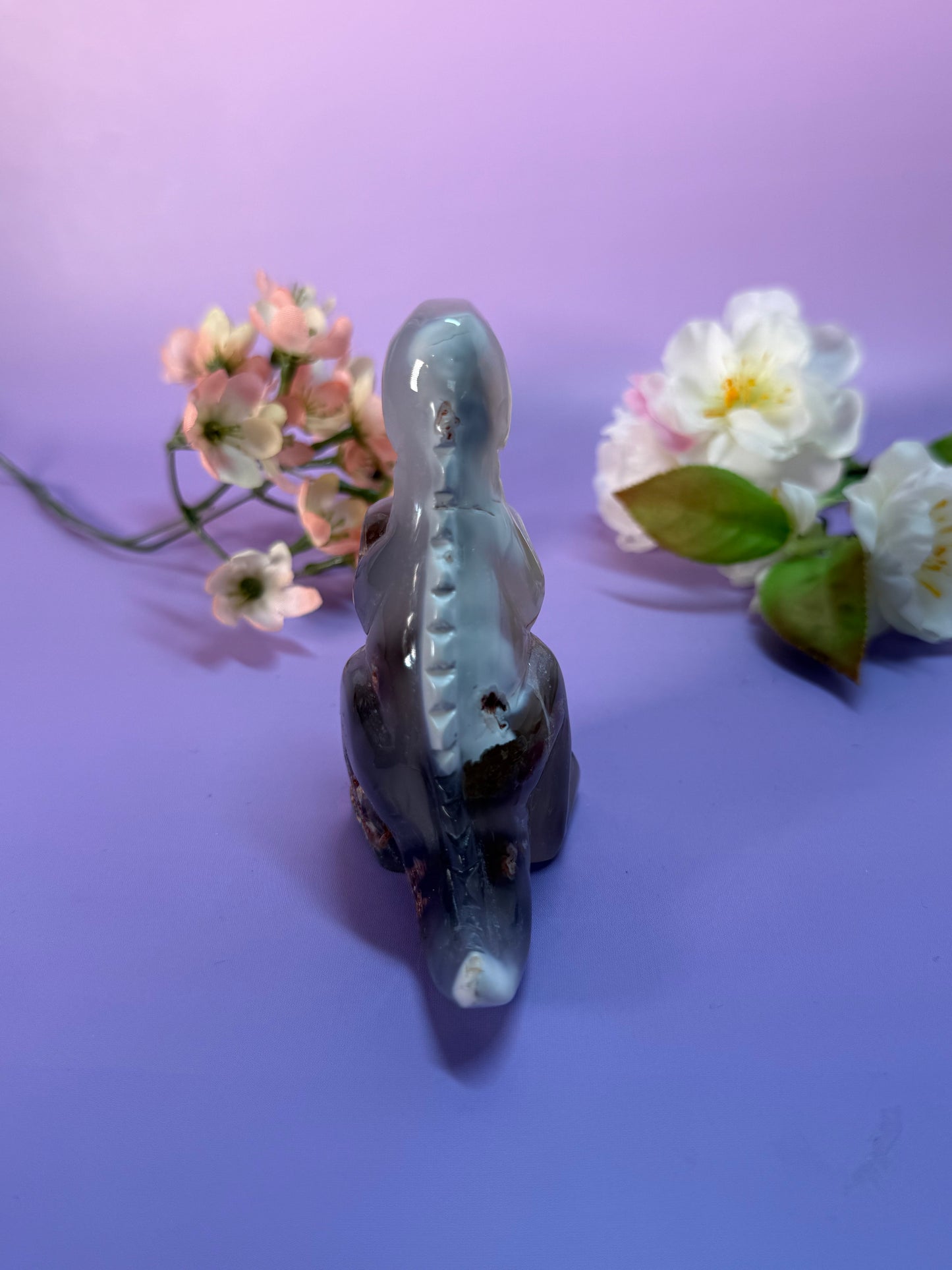 Orcha Achat Dino Nr. 79C