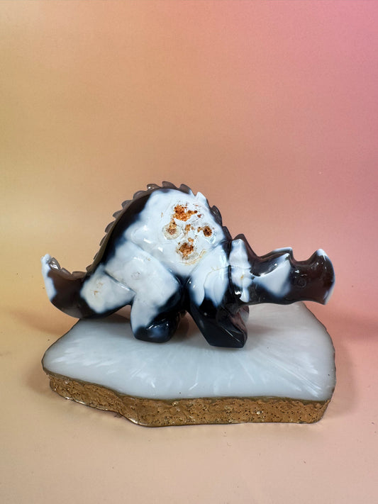 Orcha Achat Dino Nr. 54