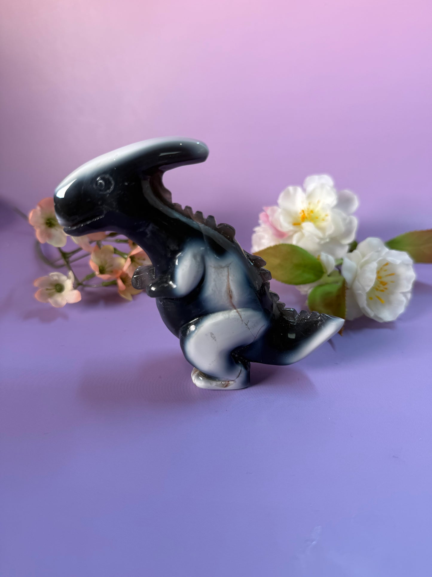 Orcha Achat Dino Nr. 79A