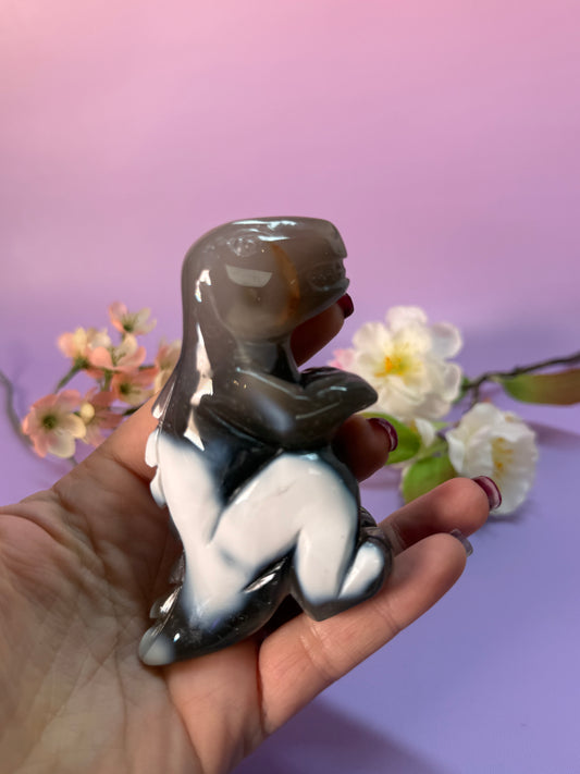 Orcha Achat Dino Nr. 79D