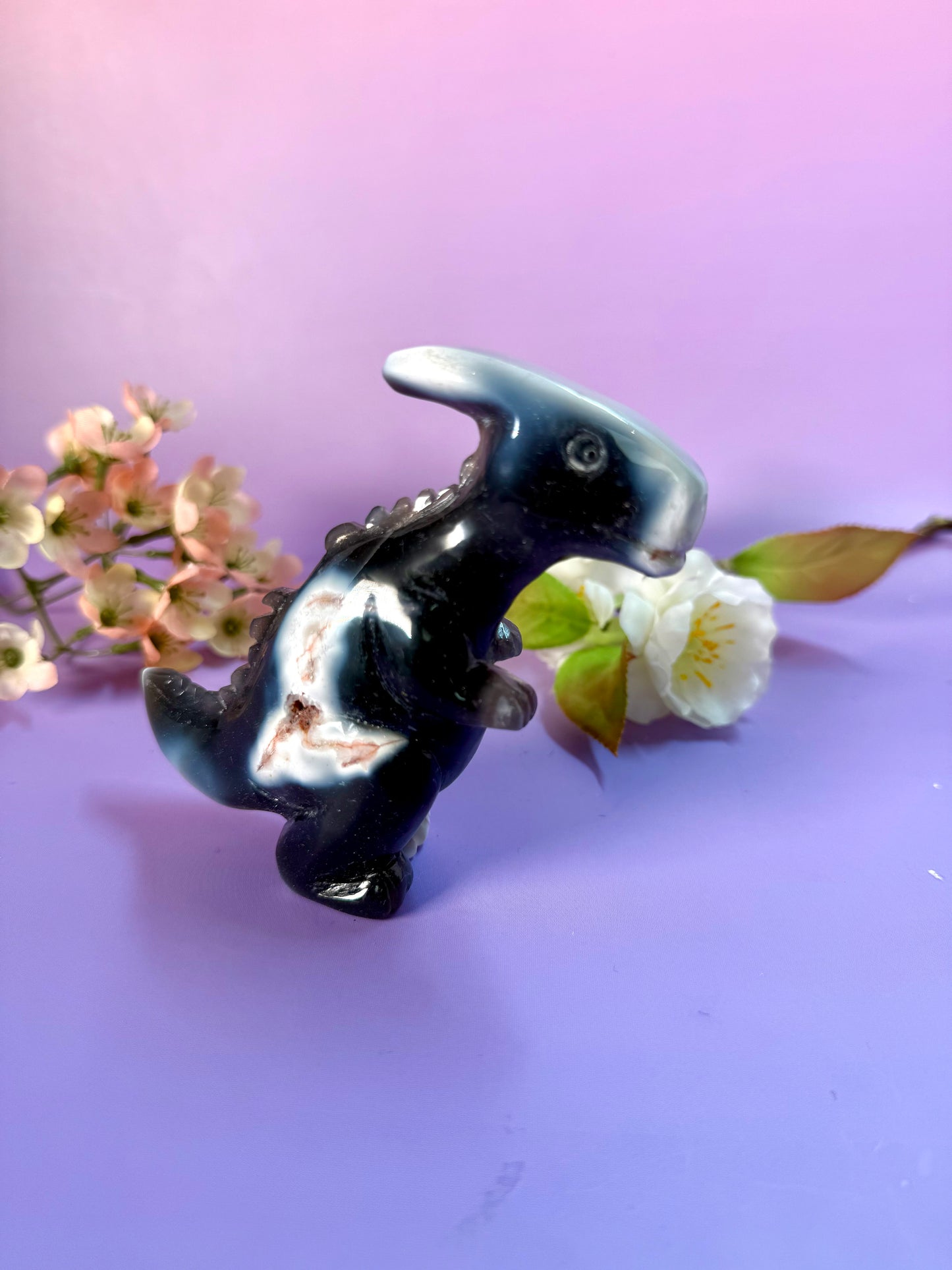 Orcha Achat Dino Nr. 79A