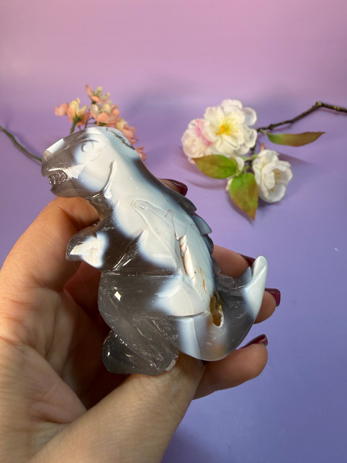 Orcha Achat Dino Nr. 49M
