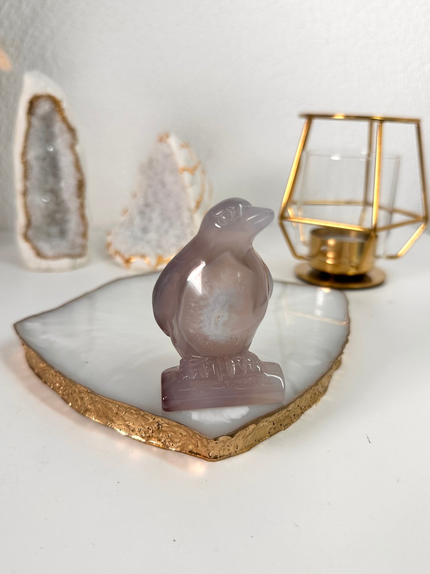 Achat Pinguin 34X