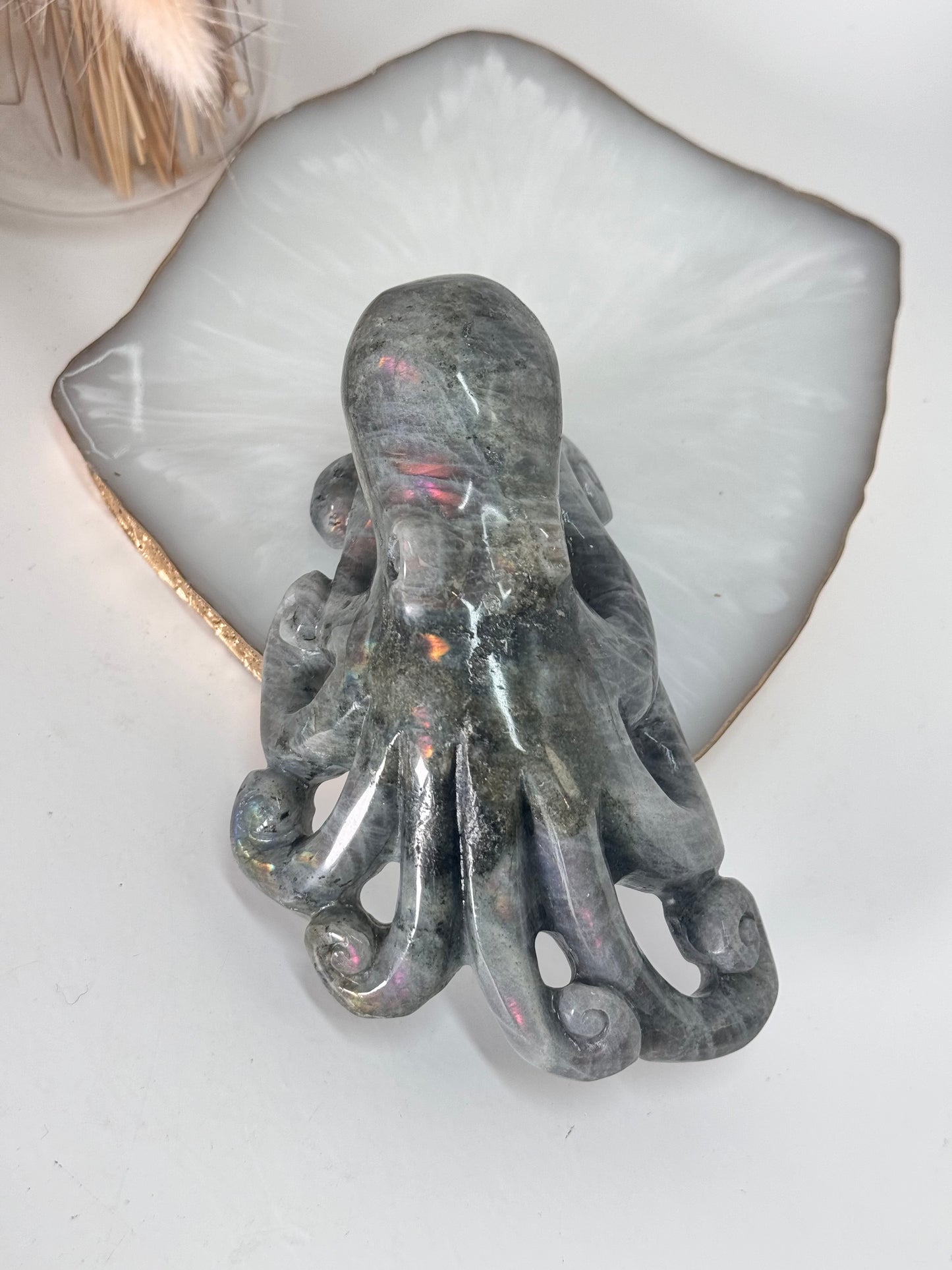 Labradorit Oktopus