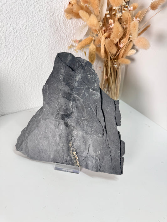 Pyrit auf Schiefer