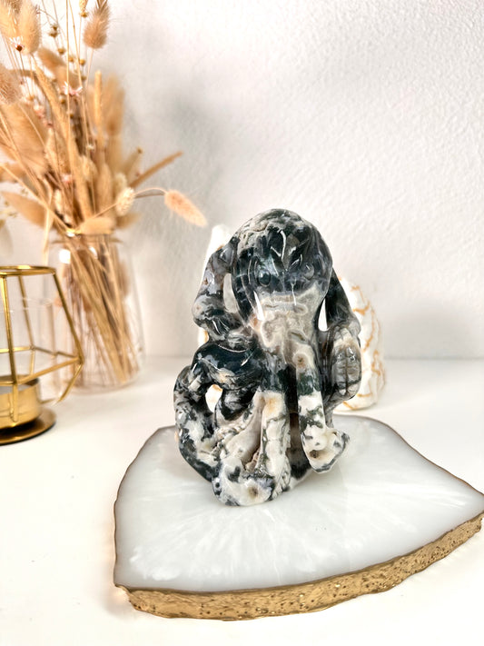 Moos Achat Oktopus 79Z