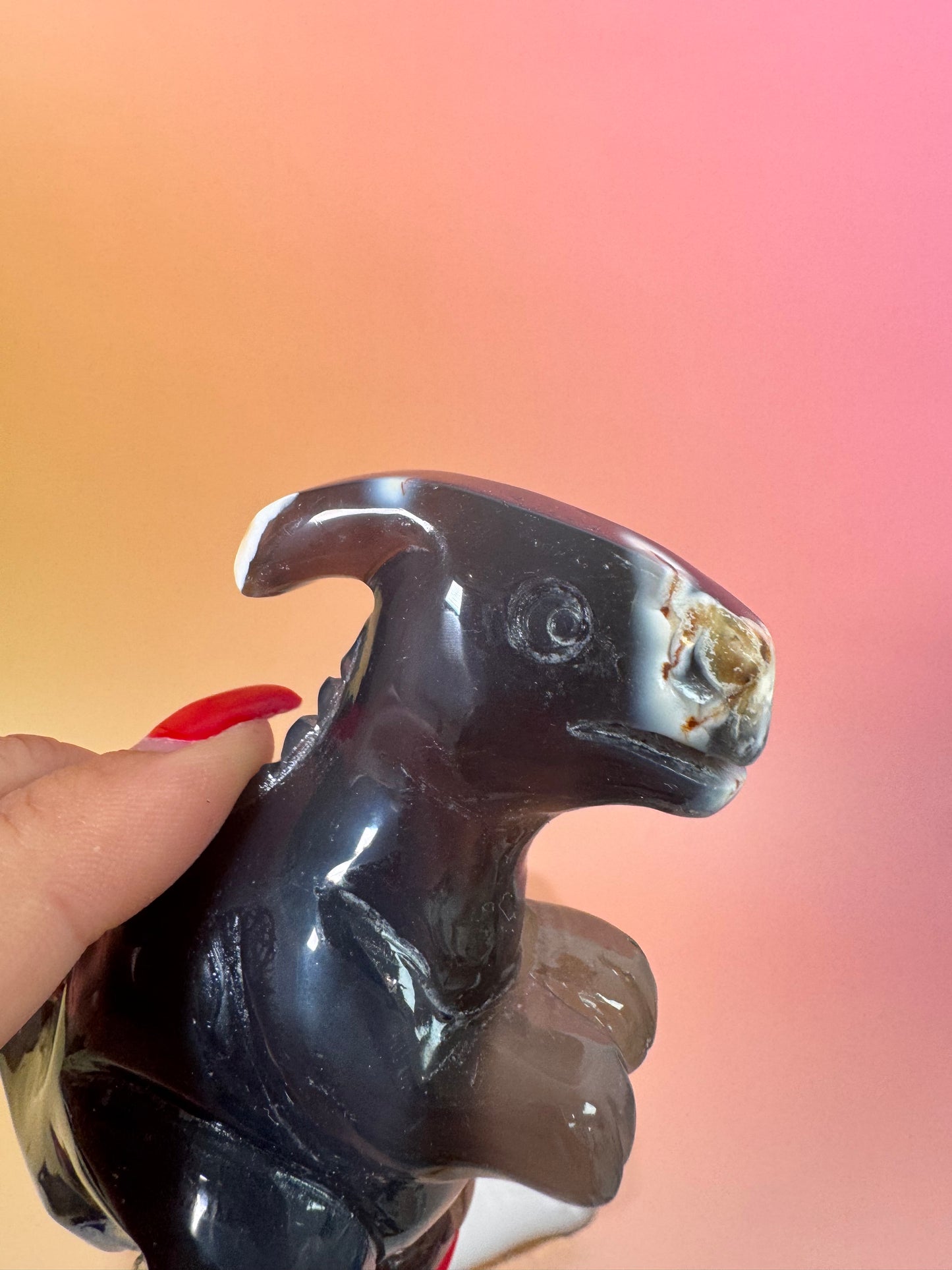 Orcha Achat Dino Nr. 100
