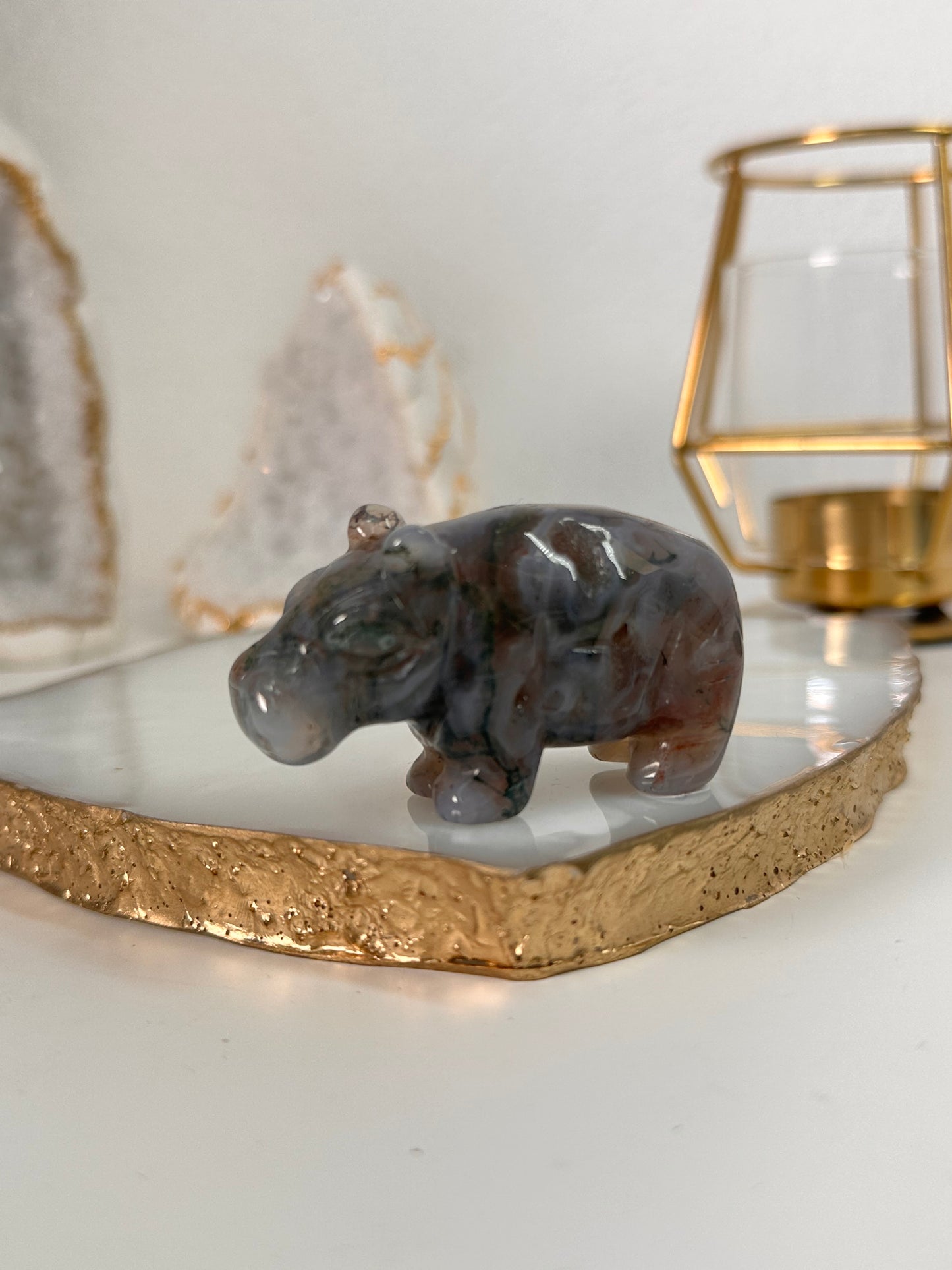 Moos Achat Hippo 28B