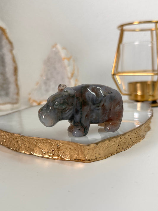 Moos Achat Hippo 28B