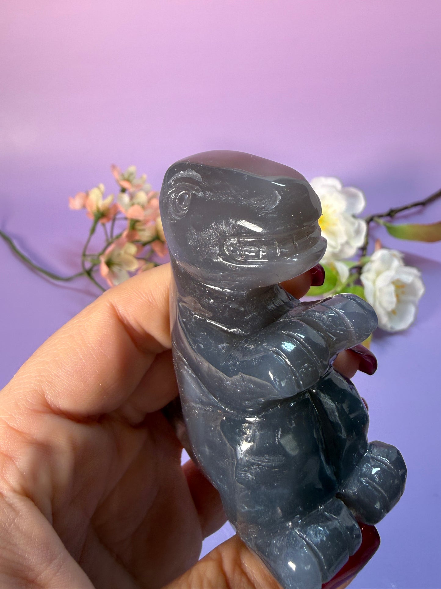 Orcha Achat Dino Nr. 49N