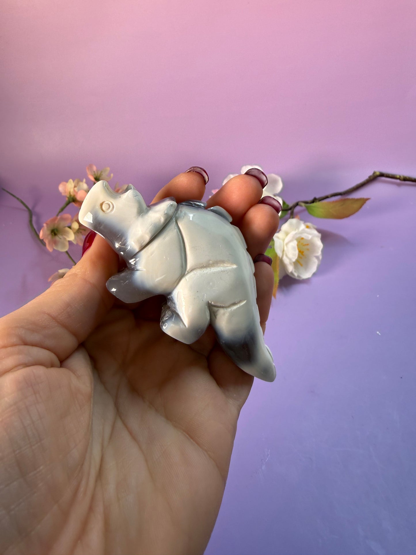 Orcha Achat Dino Nr. 45P