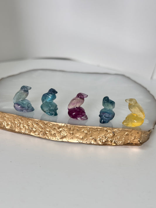 Mystery Mini Fluorit Totenkopf mit Rabe